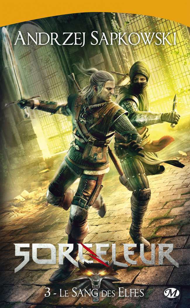 The Witcher T03 : Le Sang des elfes