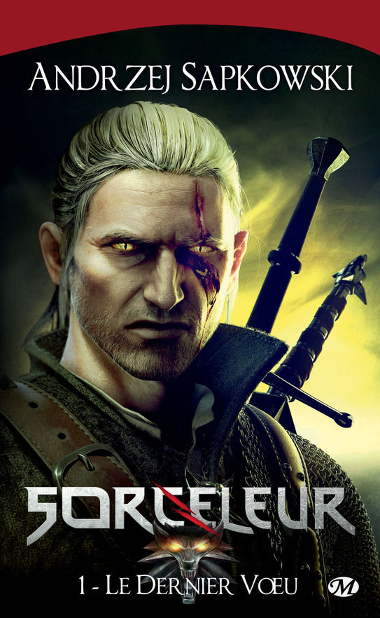 The Witcher T01 : Le Dernier Voeu